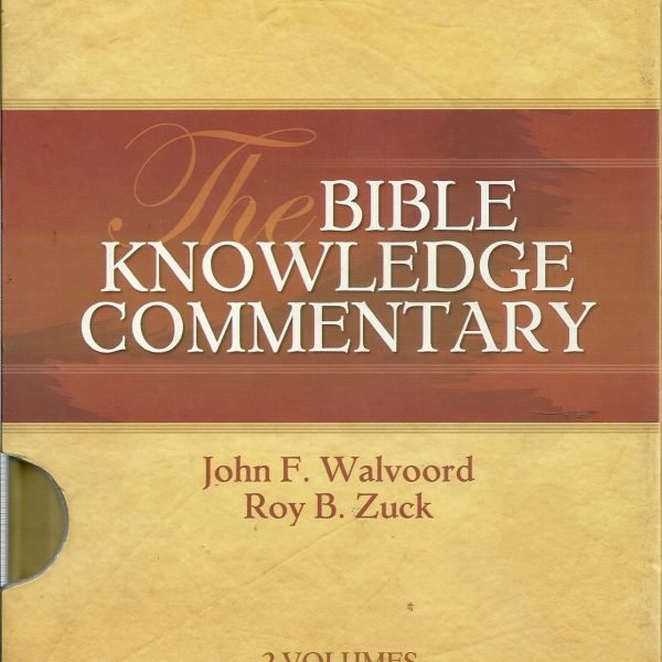 The New Interpreter's Bible Commentary 10 Volume Set ( NIB