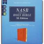 NASB 1995 Text XL Edition Bible: Giant Print - Brown Leathersoft (ISBN:9780310109402) [24]