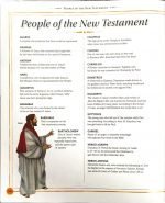 Children's Bible Stories: Share The Greatest Stories Ever Told (Hard Bound) - Image 10