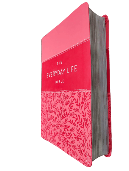 The Amplified: The Everyday Life Bible: by- Joyce Meyer: Pink