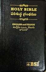 OV 27 Korean Tamil Bible: White Open Type Thumb Index (NO) (ISBN-9788122121568) - Image 9