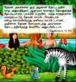 My Carry Along Bible For Kids - (Tamil - நானும் என் வேதாகமும்) (ELS-Publish) - Image 3