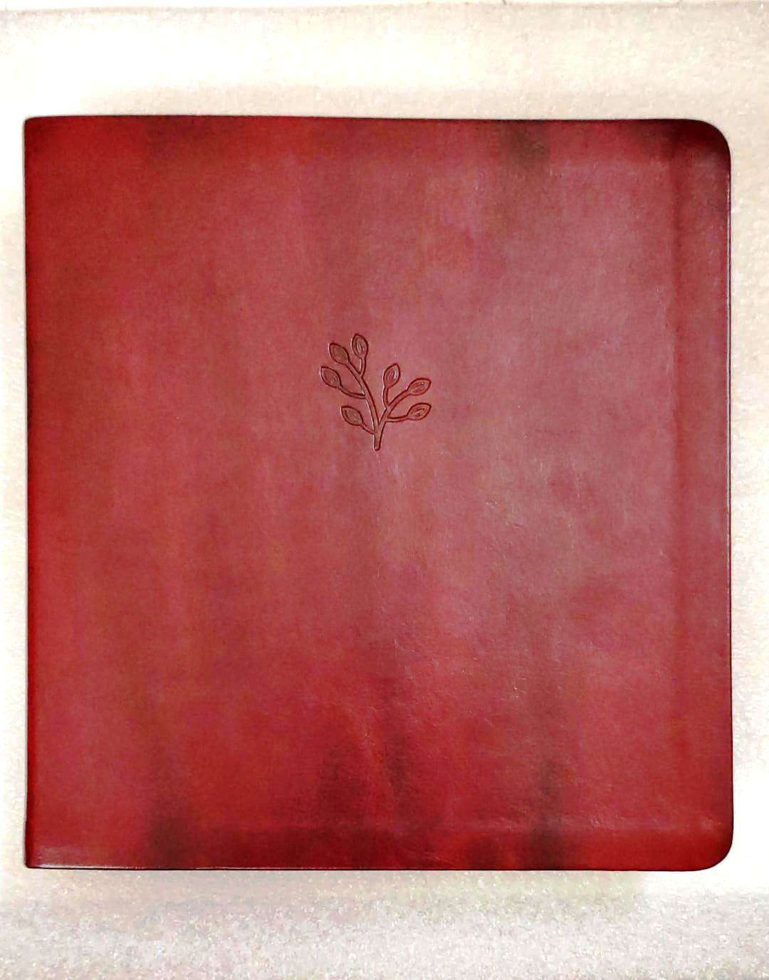 Amplified Holy Bible XL Edition Giant Print Burgundy Leathersoft (ISBN9780310109433