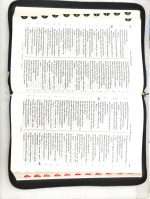 The Brick Bible: The Complete Set OT & NT - As Told & Illustrated by Brendan Powell Smith (ISBN:9781626361775) - Image 13