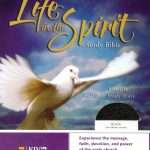 [Slightly Defected] KJV Life In the Spirit Study Bible: Black Bonded Leather (ISBN-9780310927617)
