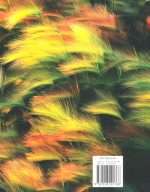[Slightly Defected] Dake Annotated Reference Bible (Hardcover) - KJV (ISBN-9781558291768) - Image 5