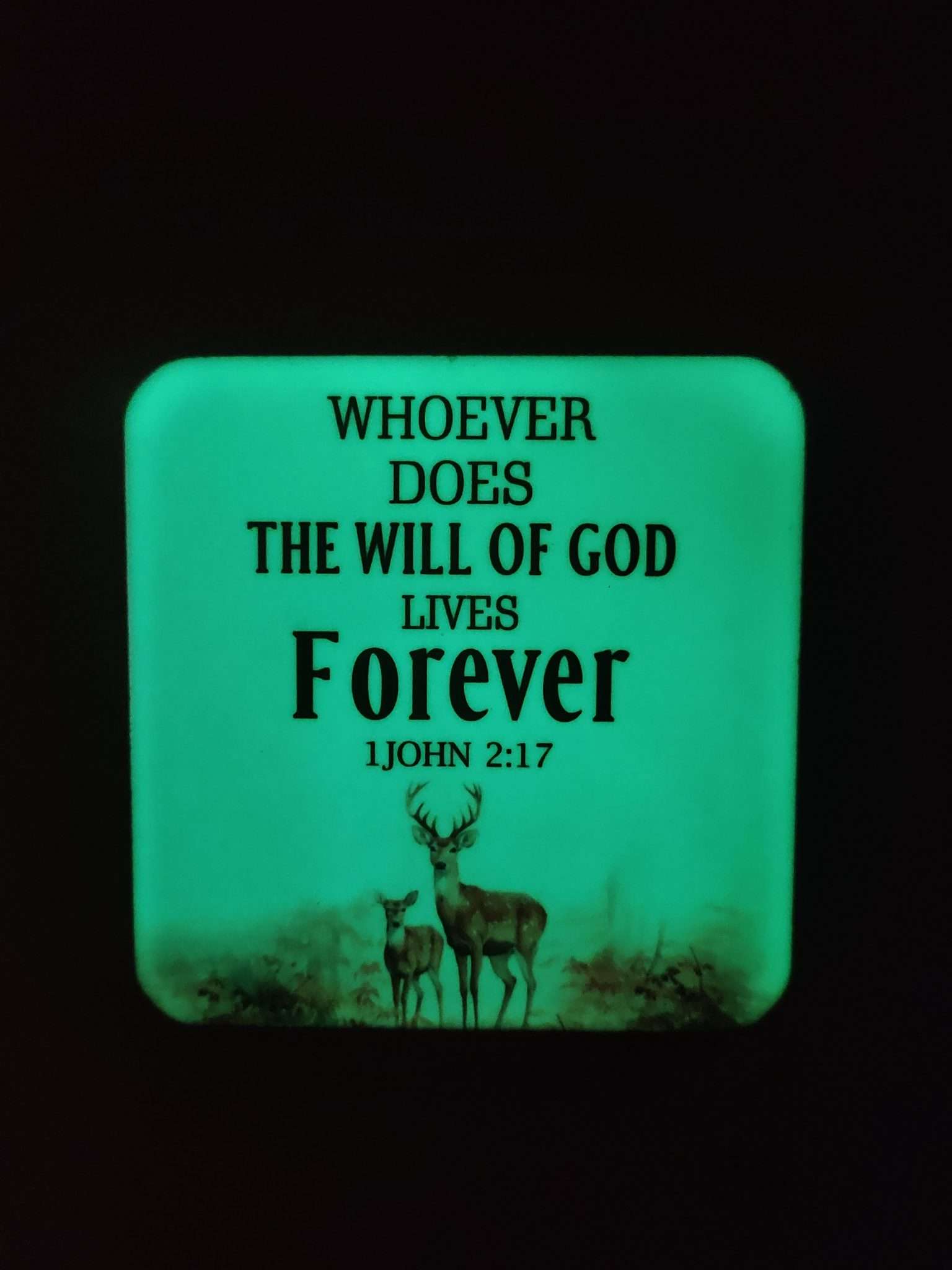 Wooden Text With Radium Light – 1 John.2:17 : (4 x 4 - Small ...