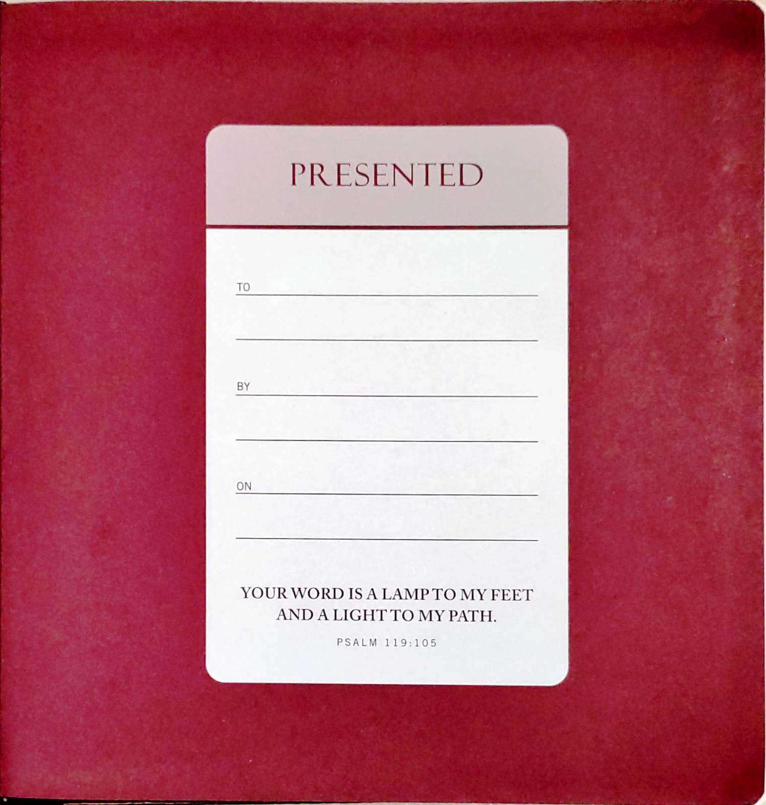 Amplified Holy Bible XL Edition Giant Print Burgundy Leathersoft (ISBN9780310109433