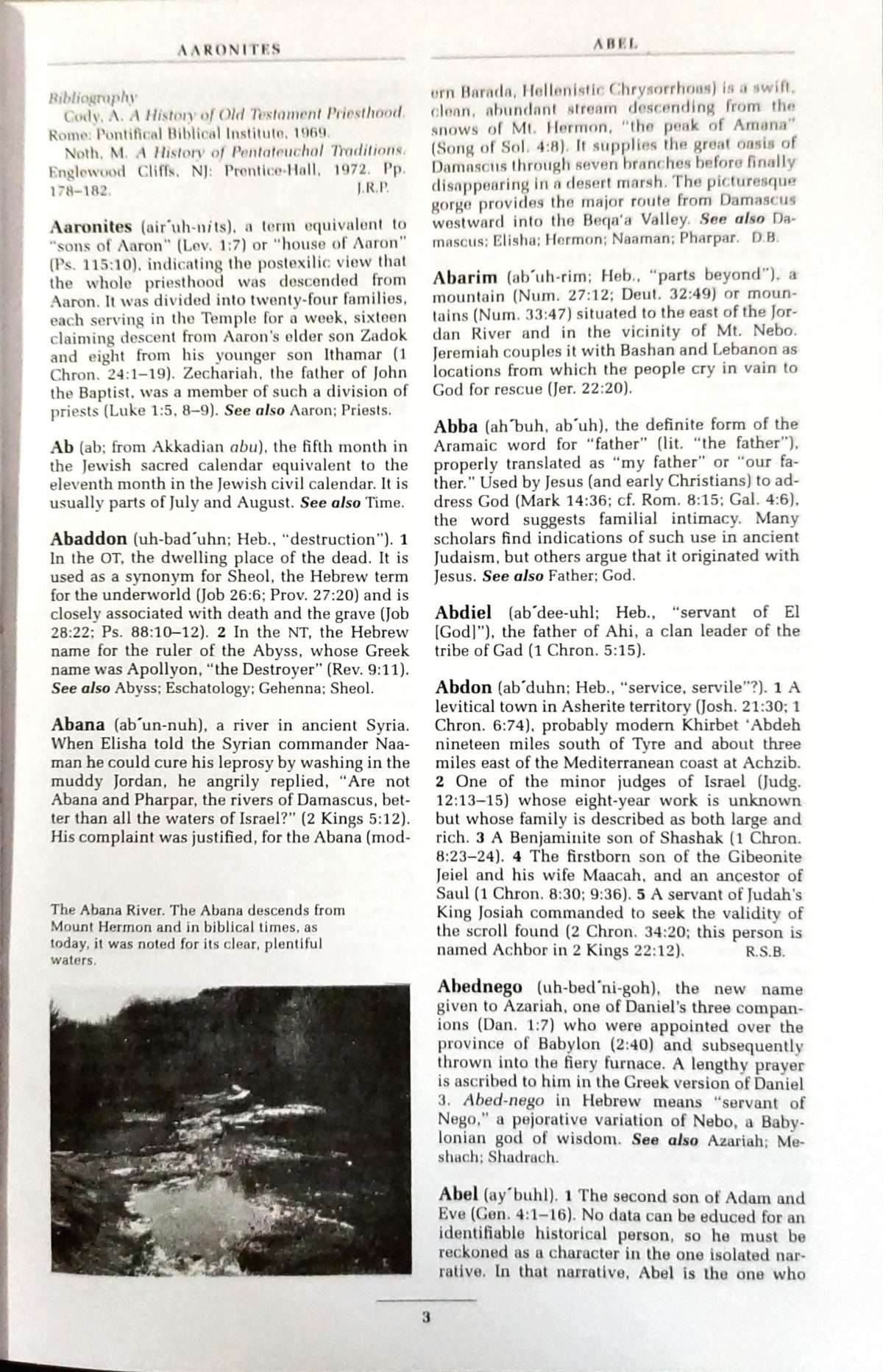 Harper Collins Bible Dictionary-Revised Edition: by- Paul J. Achtemeier  (ISBN:9788188821556) - Image 6