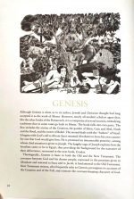 TPT- The Passion Translation: The New Testament With Psalms, Proverbs & Song of Songs: Black Imitation Leather (ISBN:9781424562503) - Image 8