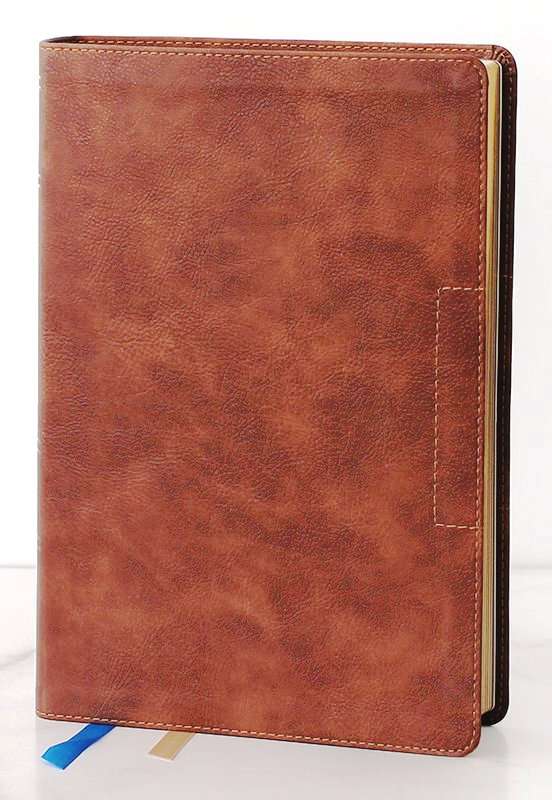 NKJV: The Lucado Encouraging Word Bible: by- Max Lucado: Brown