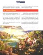 Discover Bible Heroes: An Illustrated Adventure For Kids (ISBN-9781643527406) - Image 4