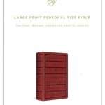 ESV Large Print Personal Size: Brown Engraved Mantel Design - Leathersoft (ISBN:9781433555909)