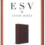 ESV Study Bible : Burgundy Bonded leather (ISBN-9781433564161)