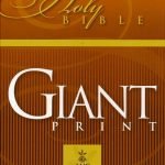 NASB Bible Giant Print Hand Size-Burgundy Bonded Leather (ISBN-9780899579450)