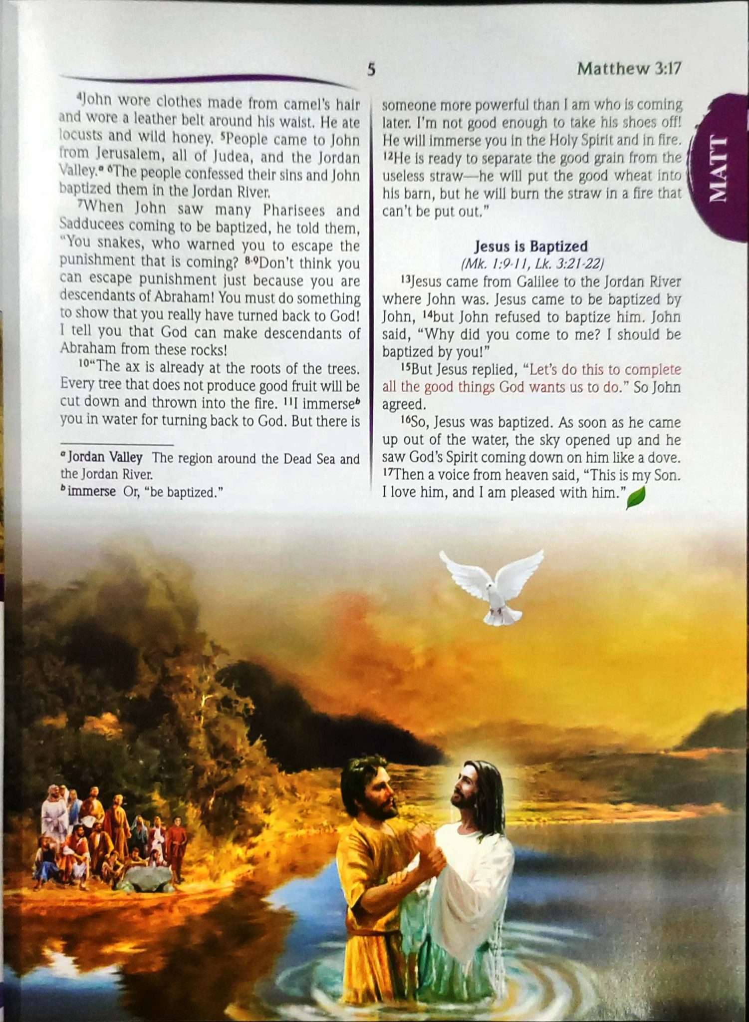 The Illustrated New Testament ERV Bible