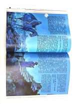 The Bible For Children (இளைஞர் விவிலியம்- Tamil) (BSI-Hardbound) ISBN-9789393511577 - Image 8