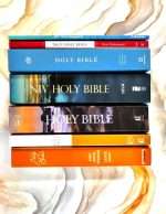 English Bible Combo Offer - 7 Bibles In One Pack [Paper Pack