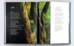 ESV - Psalms Photography Edition (ISBN:9781433579240) (S-6) - Image 4