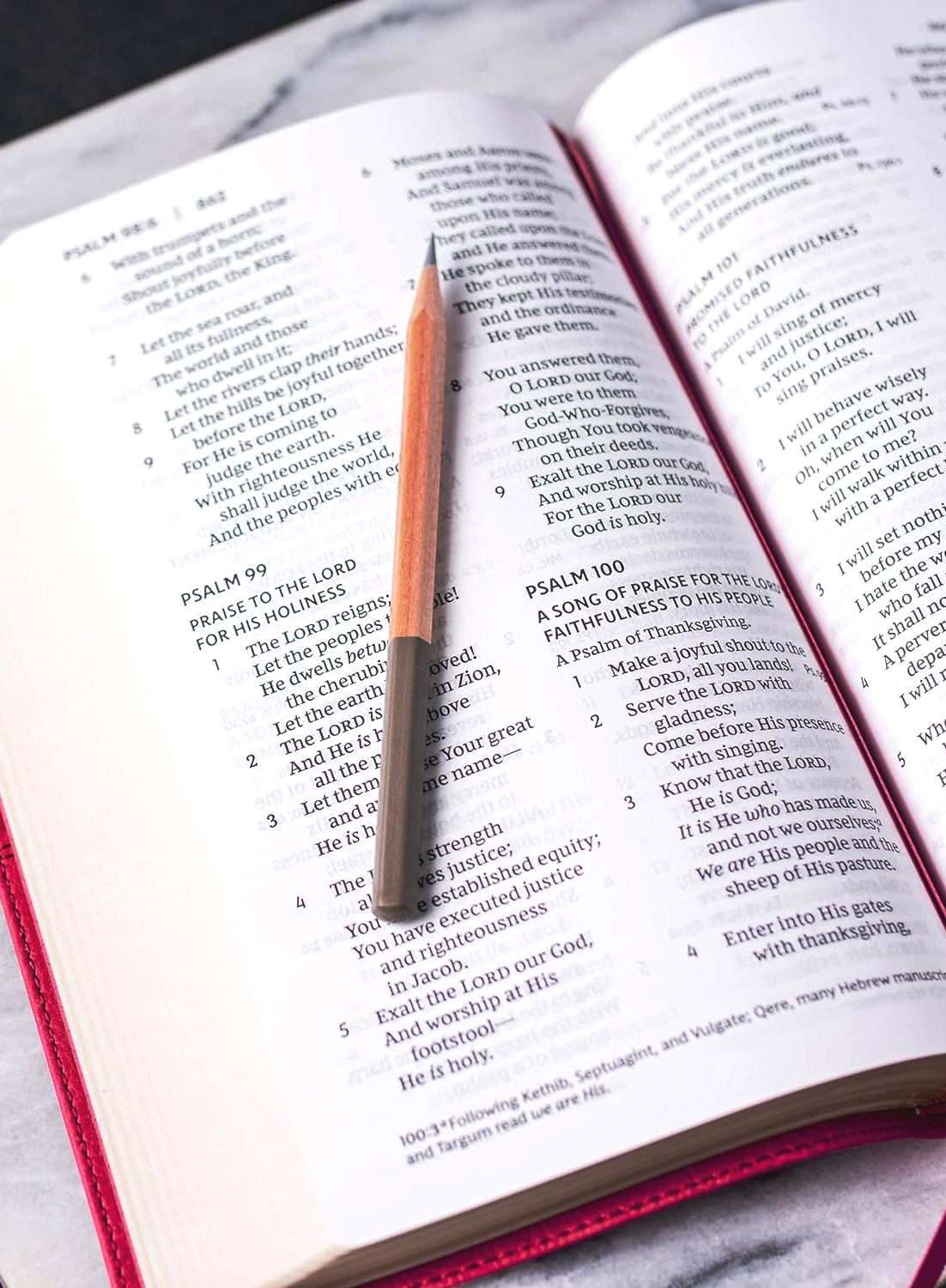 NKJV Personal Size Large Print Reference Bible: Black Leathersoft (ISBN ...