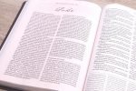 KJV Charles Spurgeon Study Bible: Black Leather (K) - Image 18