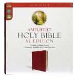 Amplified Holy Bible XL Edition: Giant Print - Burgundy Leathersoft (ISBN:9780310109433) [24]