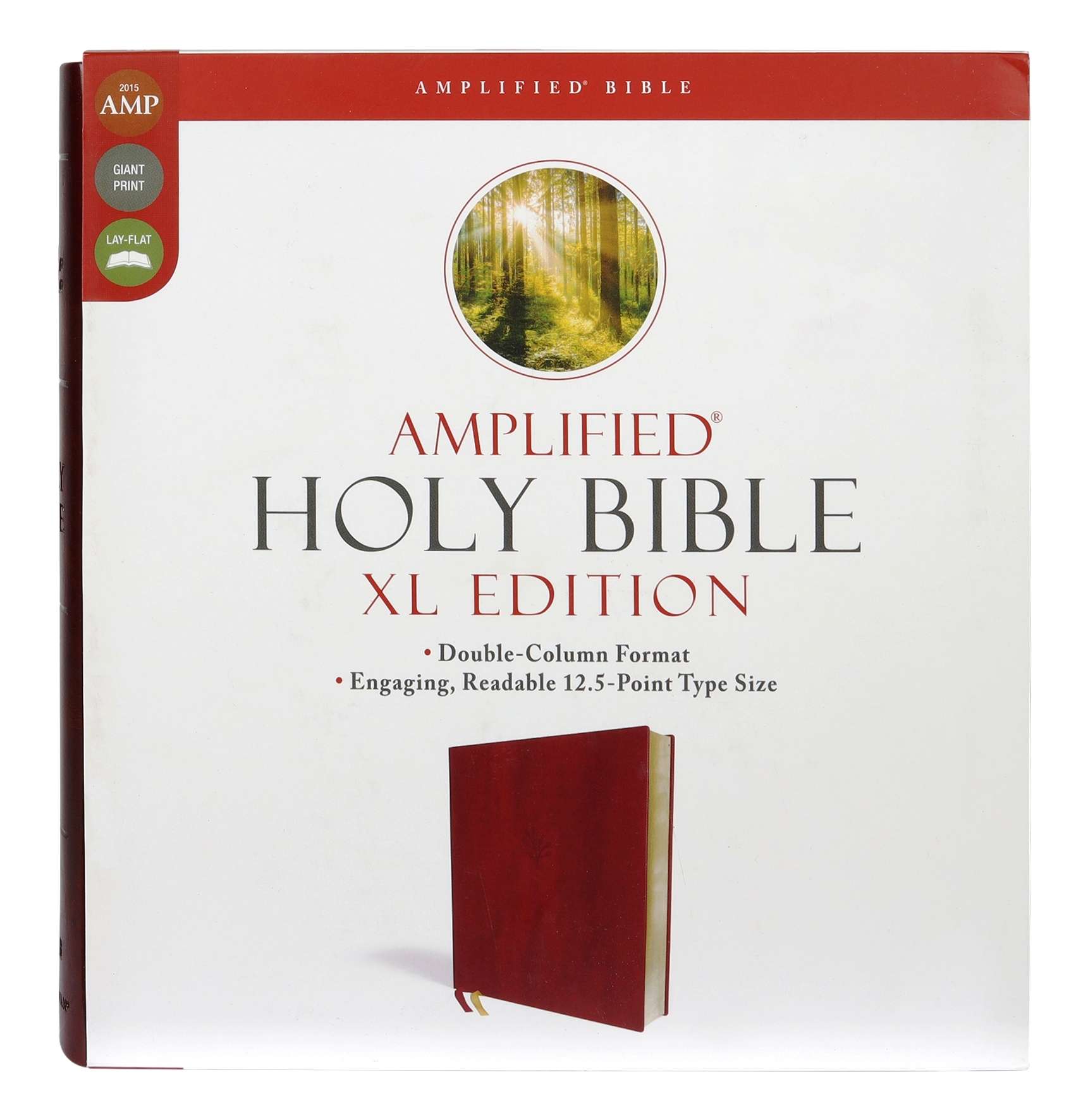 Amplified Holy Bible XL Edition Giant Print Burgundy Leathersoft (ISBN9780310109433