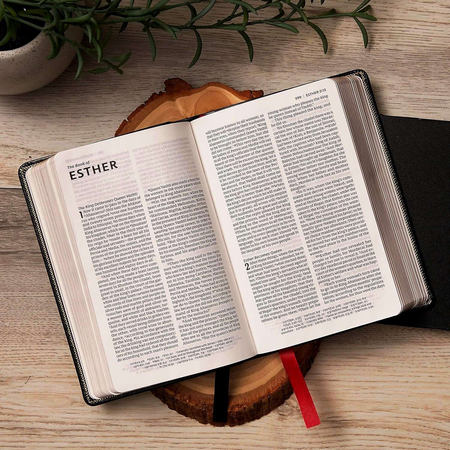 NKJV Deluxe Compact Large Print Reference Bible: Purple/Gray ...