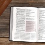 KJV Charles Spurgeon Study Bible: Black Leather (K) - Image 20