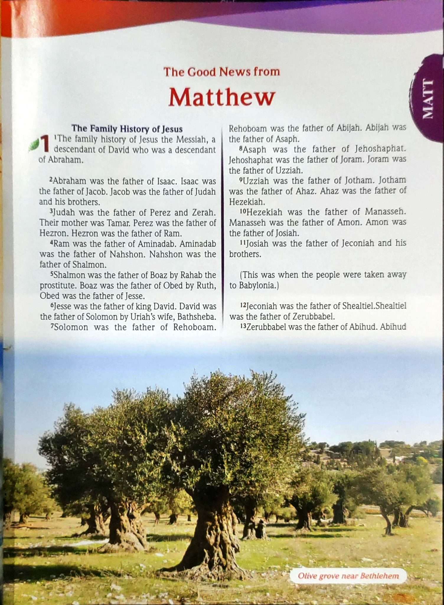 The Illustrated New Testament ERV Bible
