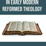 Predestination In Early Modern Reformed Theology: by- Richard A. Muller (ISBN:9789361737503) (O)