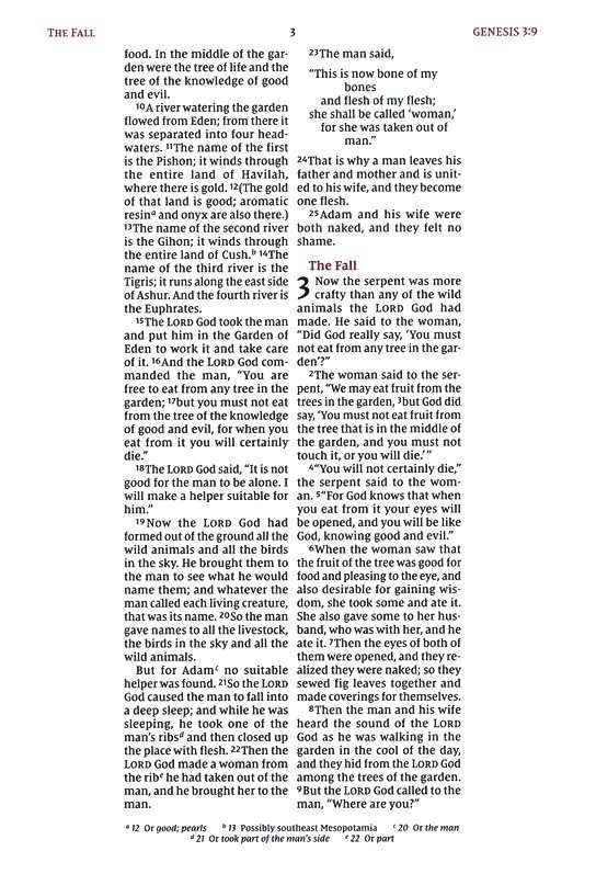 NIV Wide-Margin Bible: Brown Leathersoft [24] (ISBN:9780310461050 ...