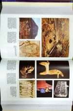 Harper Collins Bible Dictionary-Revised Edition: by- Paul J. Achtemeier  (ISBN:9788188821556) - Image 11