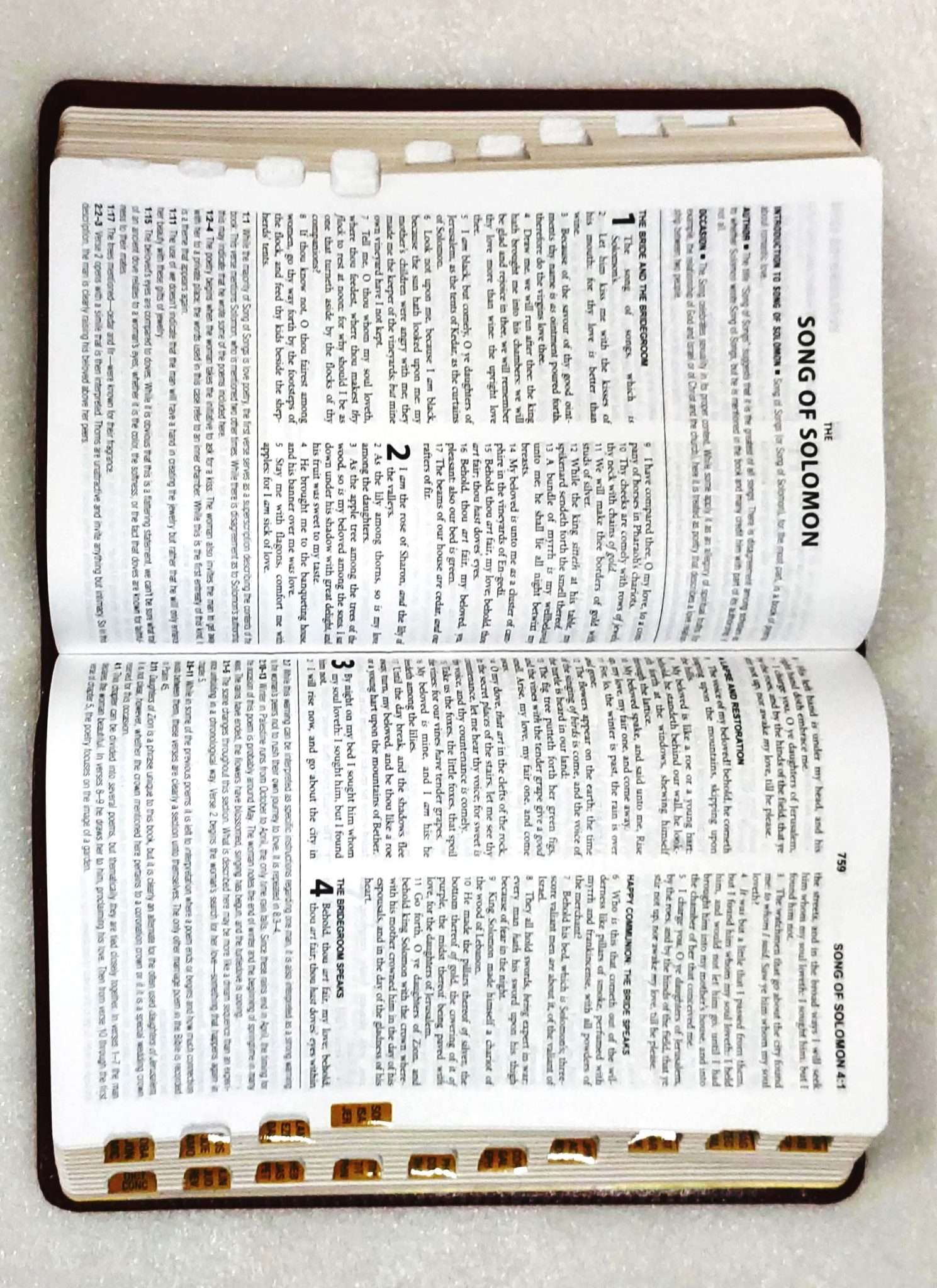 The KJV Study Bible: Thumb Indexed Edition - Burgundy Bonded