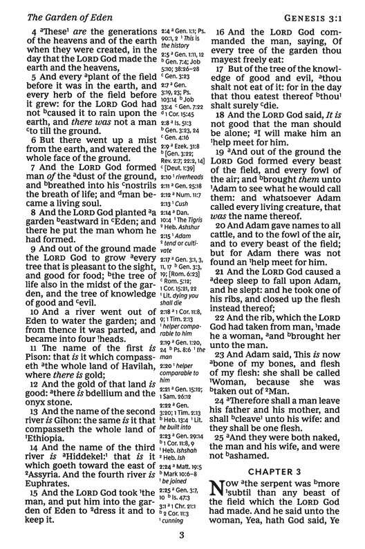 KJV Large Print Center-Column Reference Bible: Verse Art Cover ...