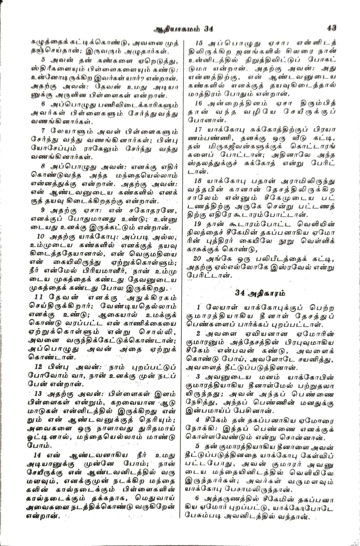 Tamil Bible Semi Compact Blue Open Type – With Thumb Index (ISBN:9788119095650) - Image 8